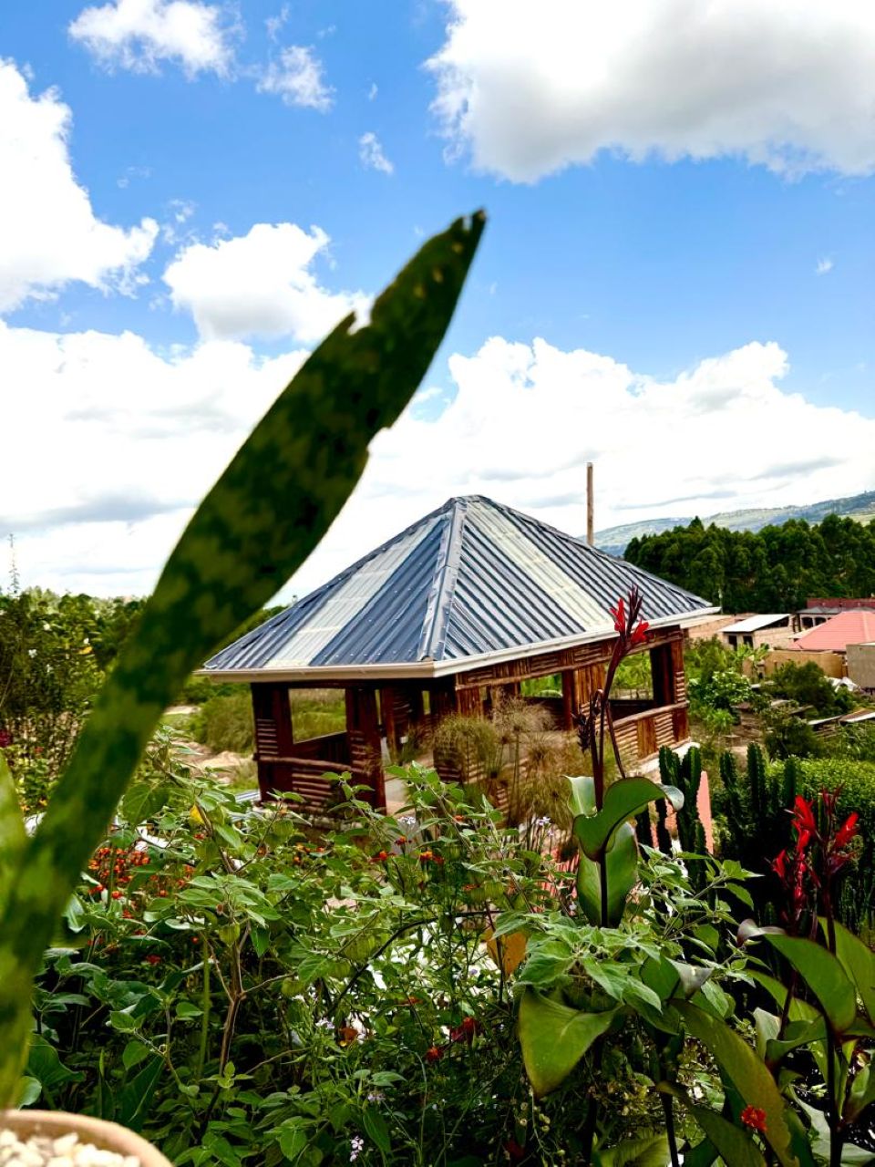 About  Grand Palace Safari Lodge