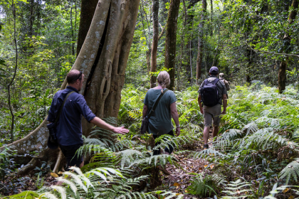 Echuya Forest Reserve